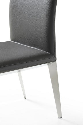 Taryn Modern Dark Grey Dining Chair (Set of 2)
