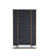 Cartier Modern Black & Rosegold Chest