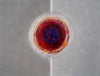 Mielcasa | Multi-Toned Modrest ADC1092 Abstract Oil Painting | SKU VGSHD-ADC1092 | MPN: 76079 | Free Delivery & Free Return
