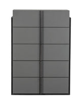 Lucia Italian Modern Elm and Matte Grey Chest