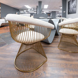 Chandler Modern Beige Velvet & Gold Dining Chair