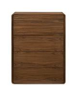 Dustin Modern Walnut Chest