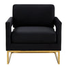 Edna Modern Black Velvet & Gold Accent Chair