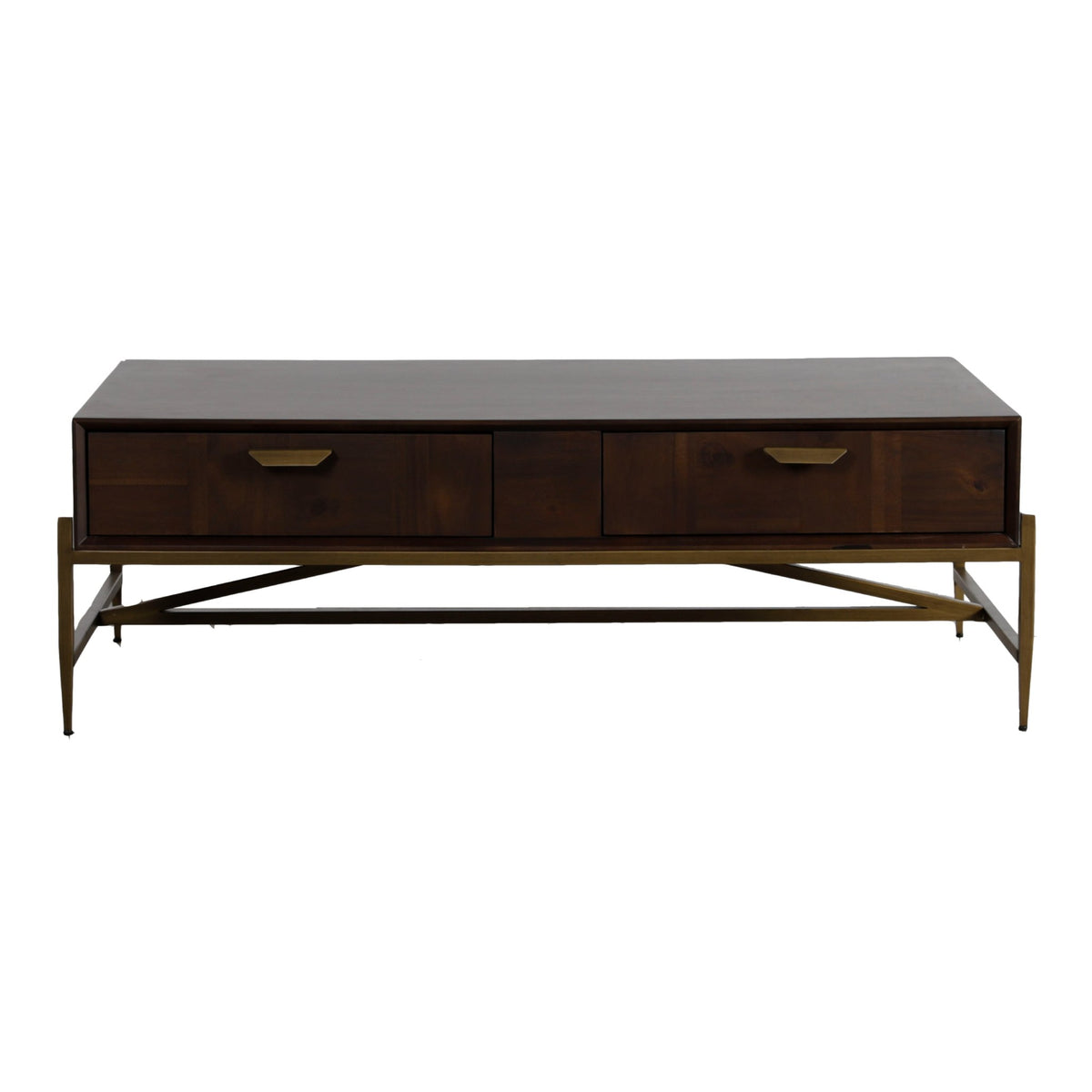 Shane Modern Acacia & Brass Coffee Table
