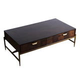 Shane Modern Acacia & Brass Coffee Table