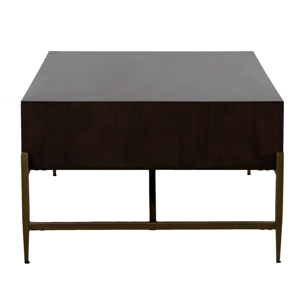 Shane Modern Acacia & Brass Coffee Table