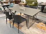 Felicia Modern Grey & Black Dining Chair (Set of 2)
