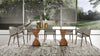 Cleveland Contemporary Glass and Walnut Dining Table