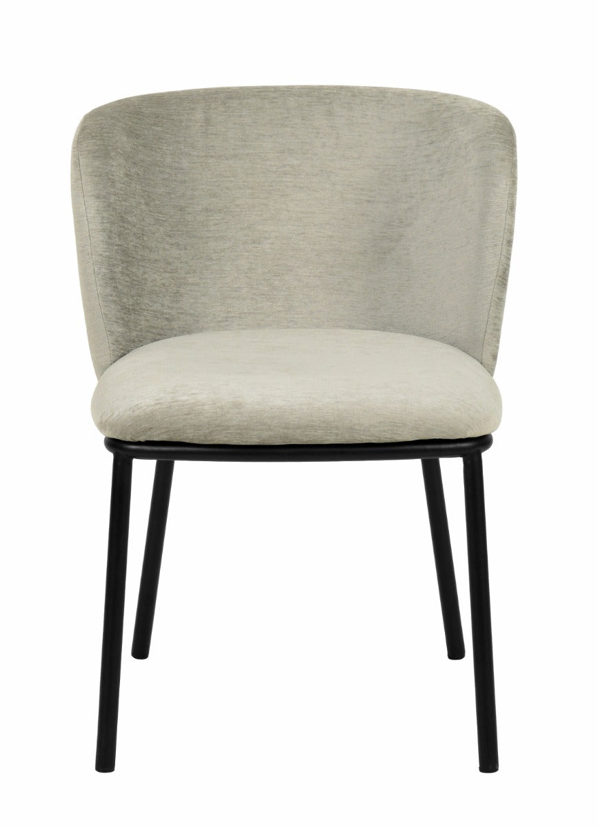 Bessie Modern Grey Dining Chair Set of 2