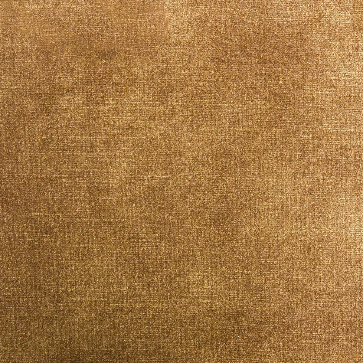 Bergman Modern Camel Velvet Dining Chair