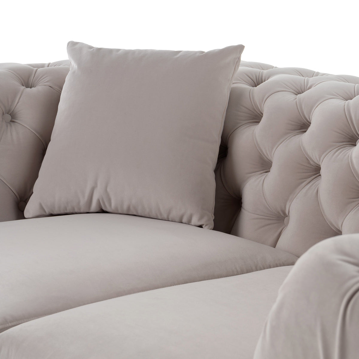 Clarice Transitional Light Beige Velvet Loveseat