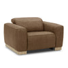 Nouveau Aris Modern Brown Leather Chair with Power Recliner & Headrest