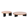 Nouveau Reza Modern Burl + Black Nesting Coffee Table Set