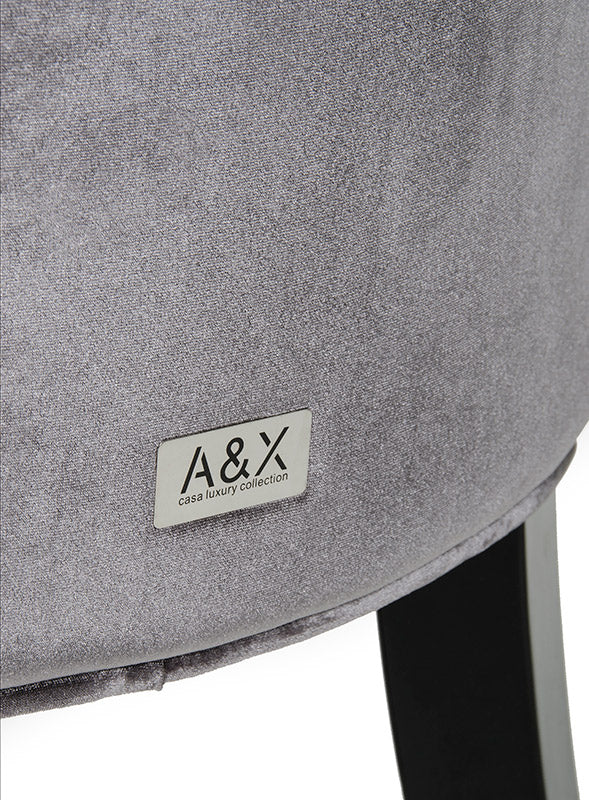 Charlotte Grey Velour Dining Chair (Set of 2)