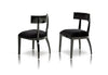 Alek Modern Black Dining Chair (Set of 2)