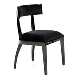 Alek Modern Black Dining Chair (Set of 2)