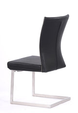 Auden Modern Black Dining Chair (Set of 2)