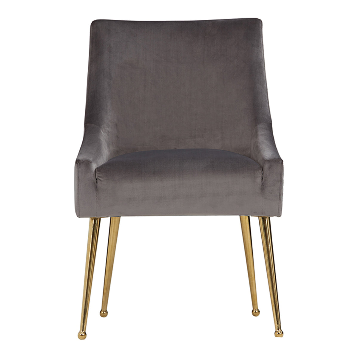 Castana Modern Grey Velvet & Gold Dining Chair (Set of 2)