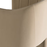 Danube Modern Beige Fabric Dining Chair