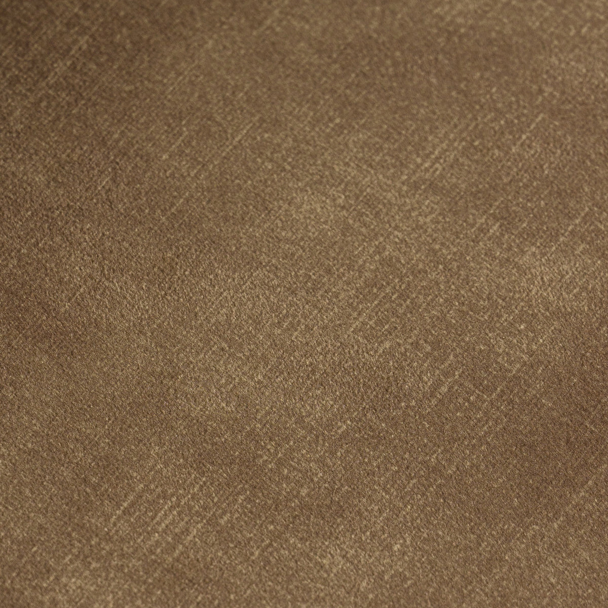 Ditka Modern Camel Velvet Dining Chair (Set of 2)