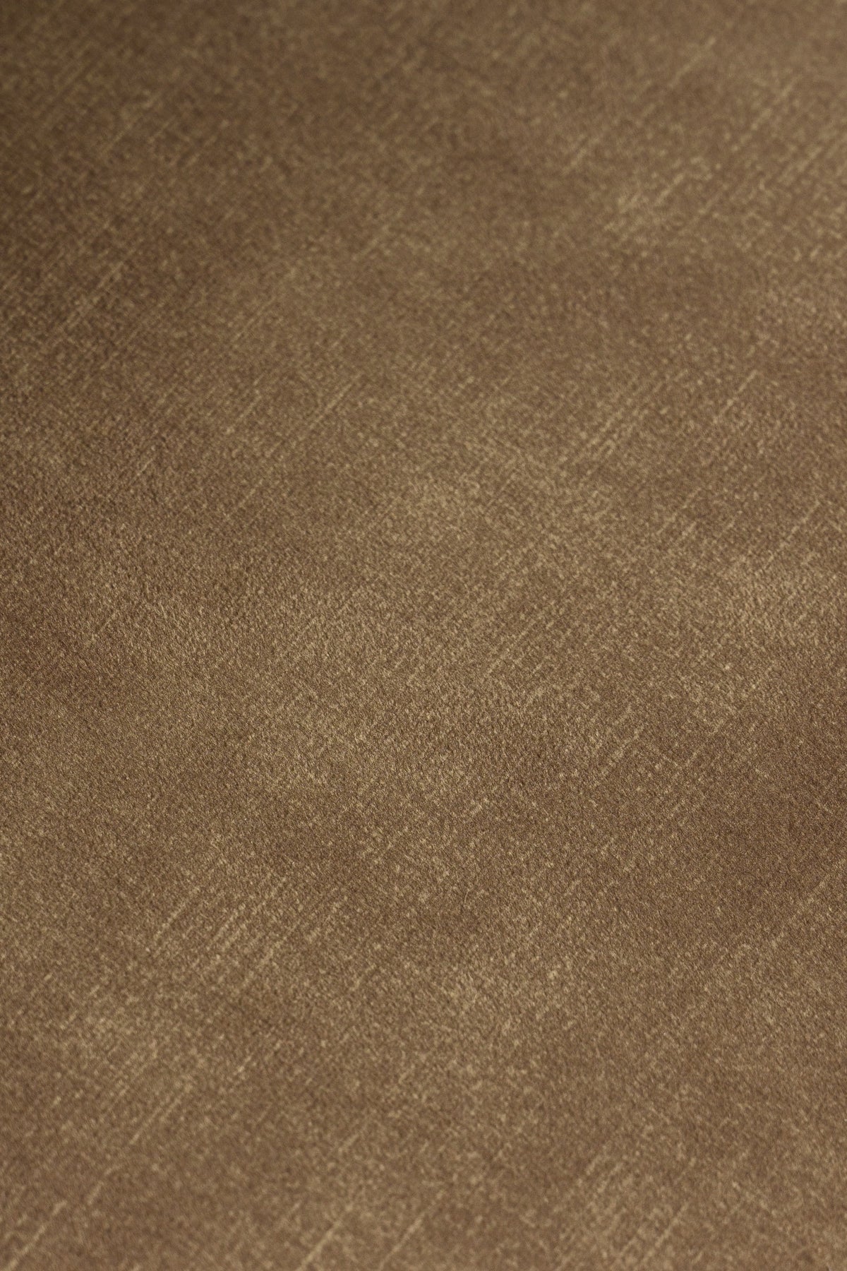 Ditka Modern Camel Velvet Dining Chair (Set of 2)