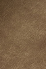 Ditka Modern Camel Velvet Dining Chair (Set of 2)
