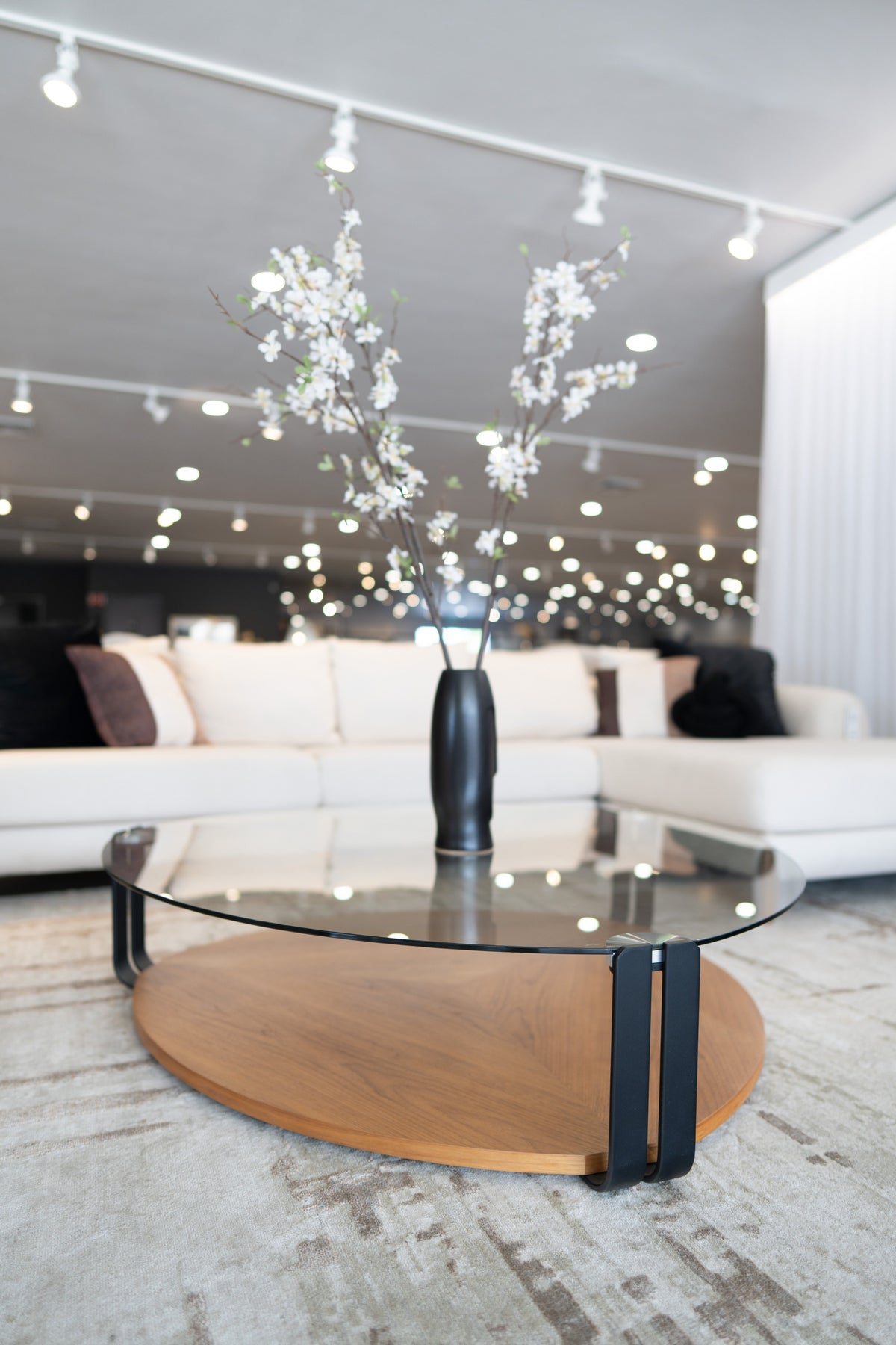 Viviana Modern Coffee Table