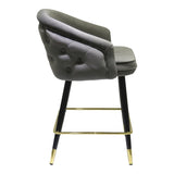 Elliot Contemporary Grey & Black/Gold Dining Bar Stool (Set of 2)