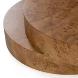 Ely Modern Faux Burl Coffee Table