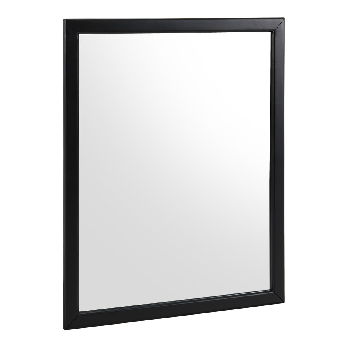 Fields Modern Black Acacia Mirror