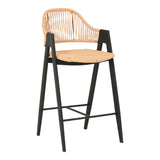 Gayle Modern Rattan Counter Stool Set of 2