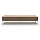 Heloise Modern Walnut and Stainless Steel TV Stand