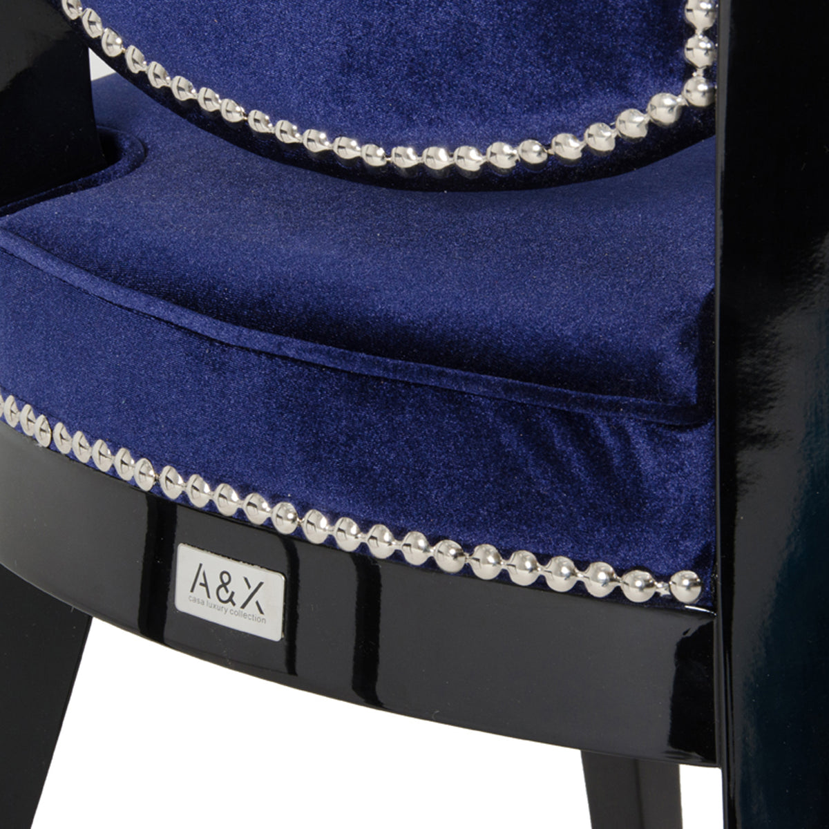 Isabella Modern Blue Dining Chair (Set of 2)