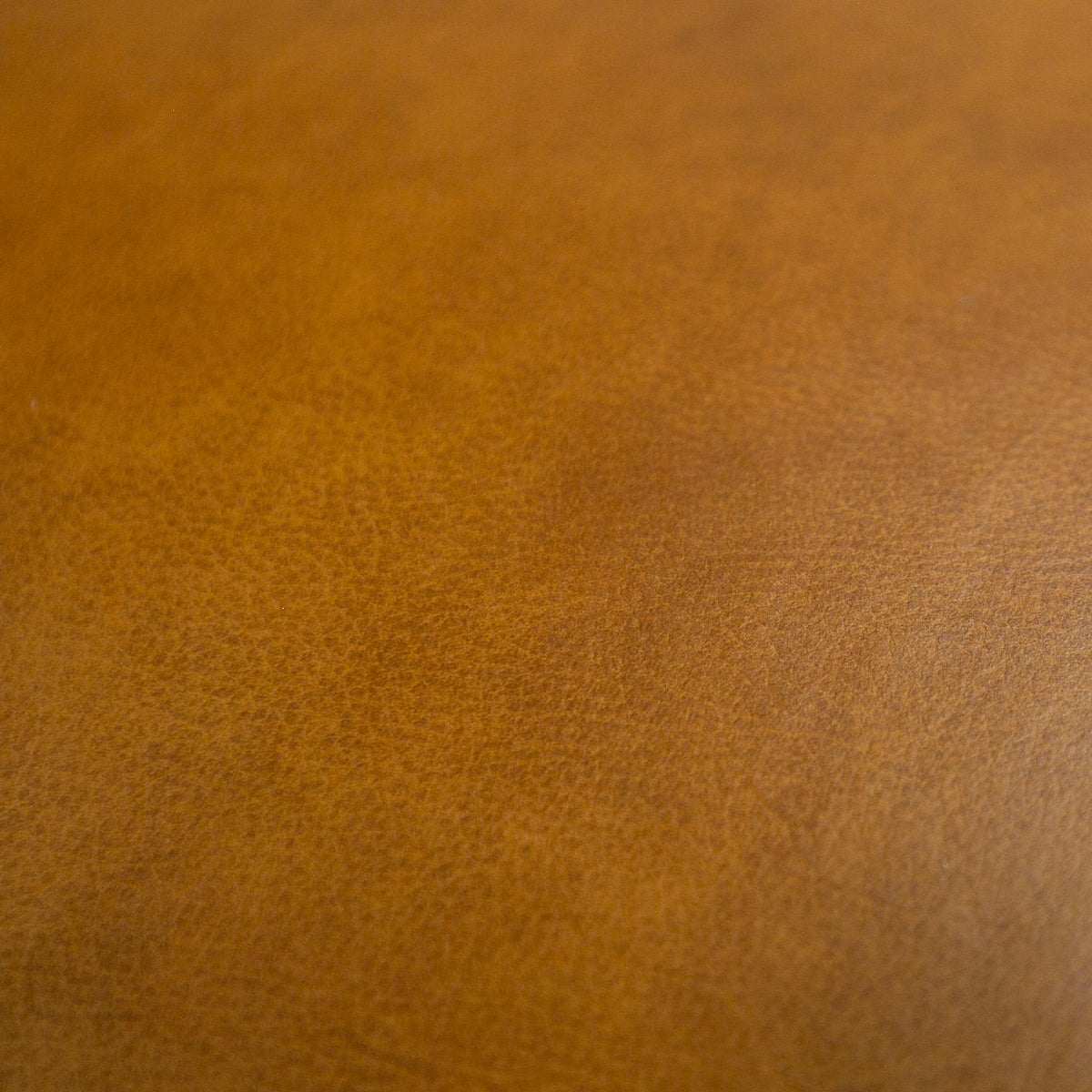 Jacoba Modern Camel Leather Rectangular Ottoman