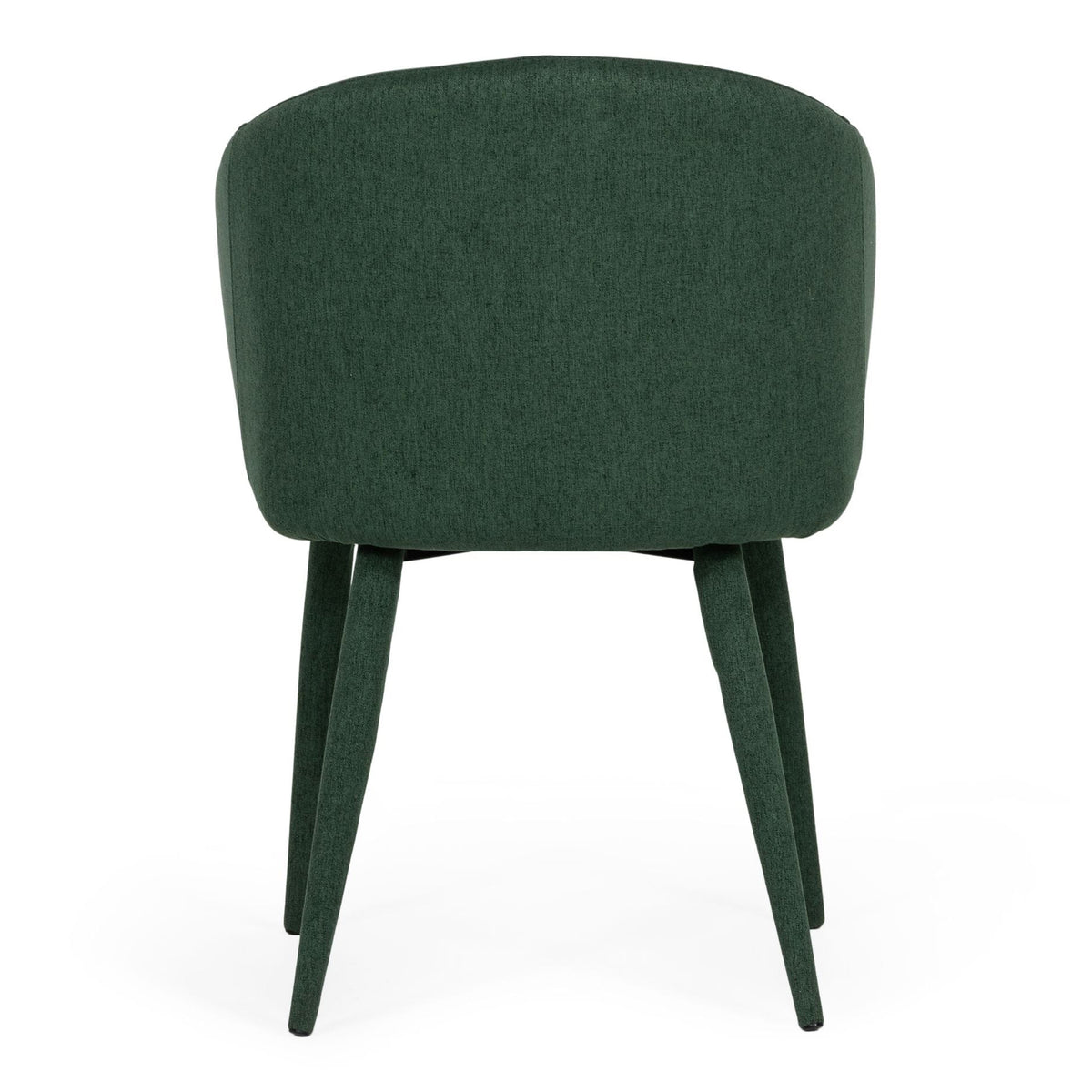 Keller Modern Green Dining Chair (Set of 2)
