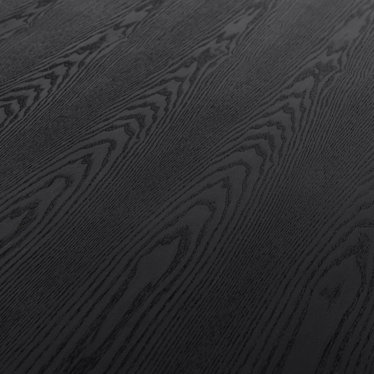 Kenda Modern Black Ash + Stainless Steel Dining Table