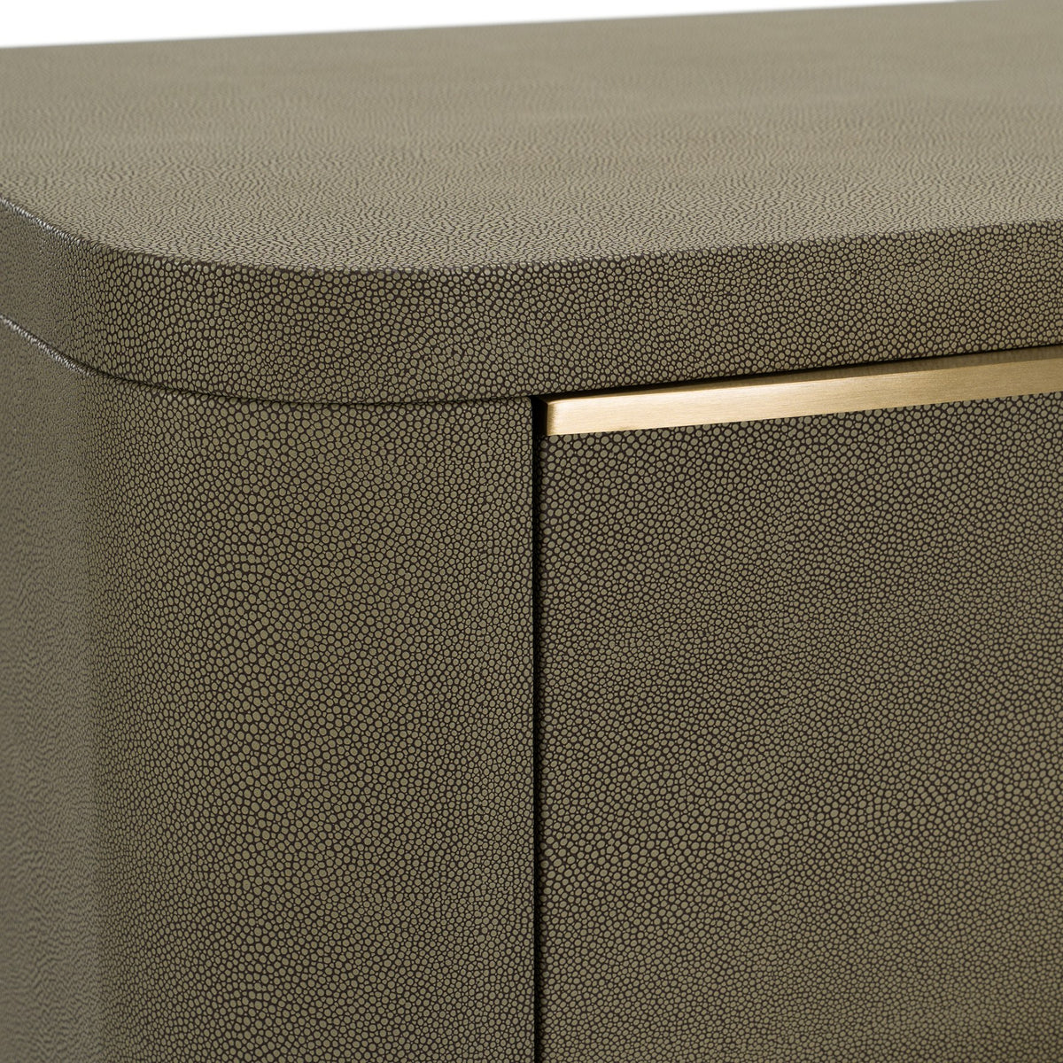 Lois Modern Beige Shagreen + Brass Chest