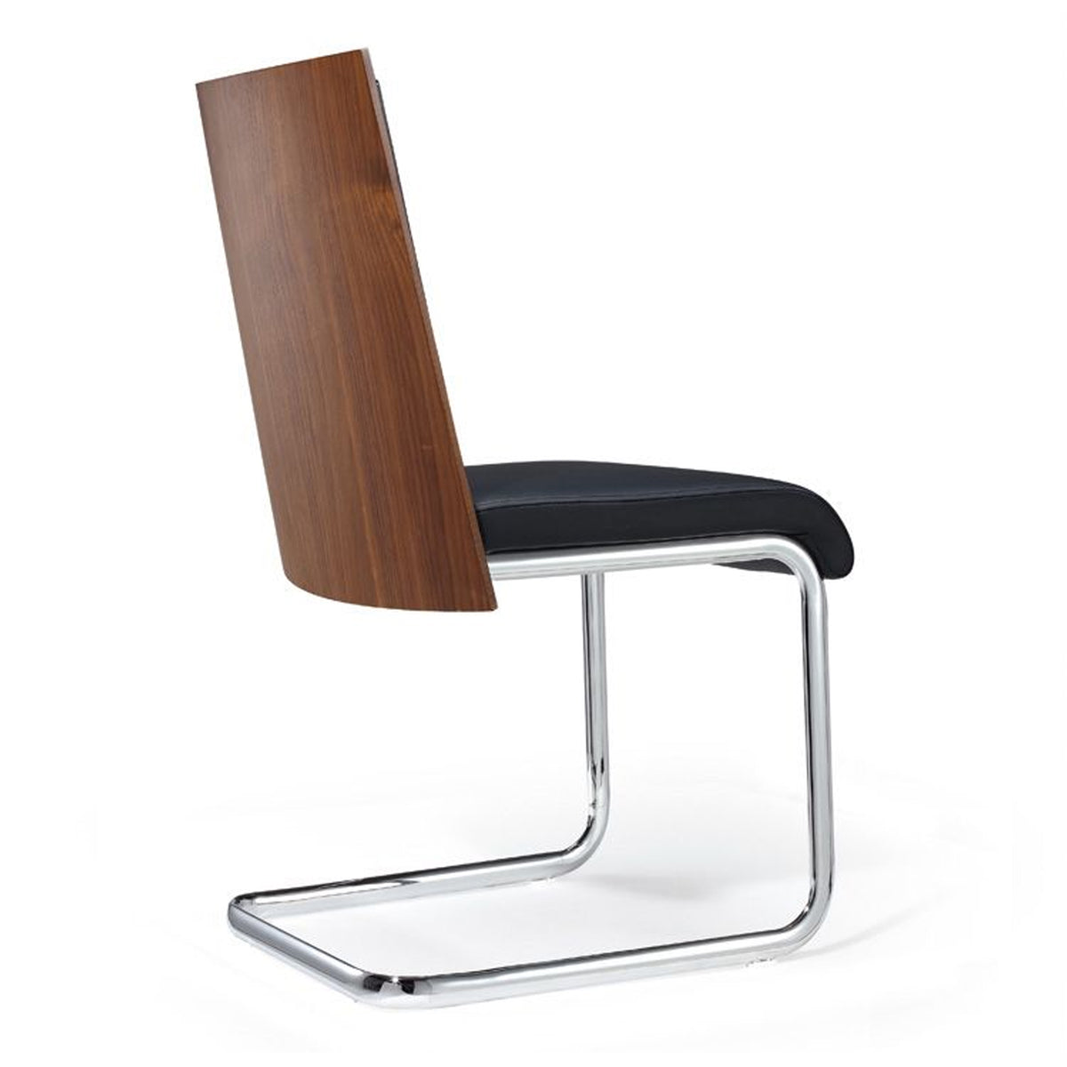 Morgan Modern Black & Walnut Dining Chair (Set of 2)