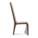 Pacer Modern Beige & Grey Ash Dining Chair (Set of 2)