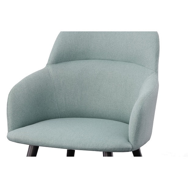 Scranton Modern Teal & Black Dining Chair