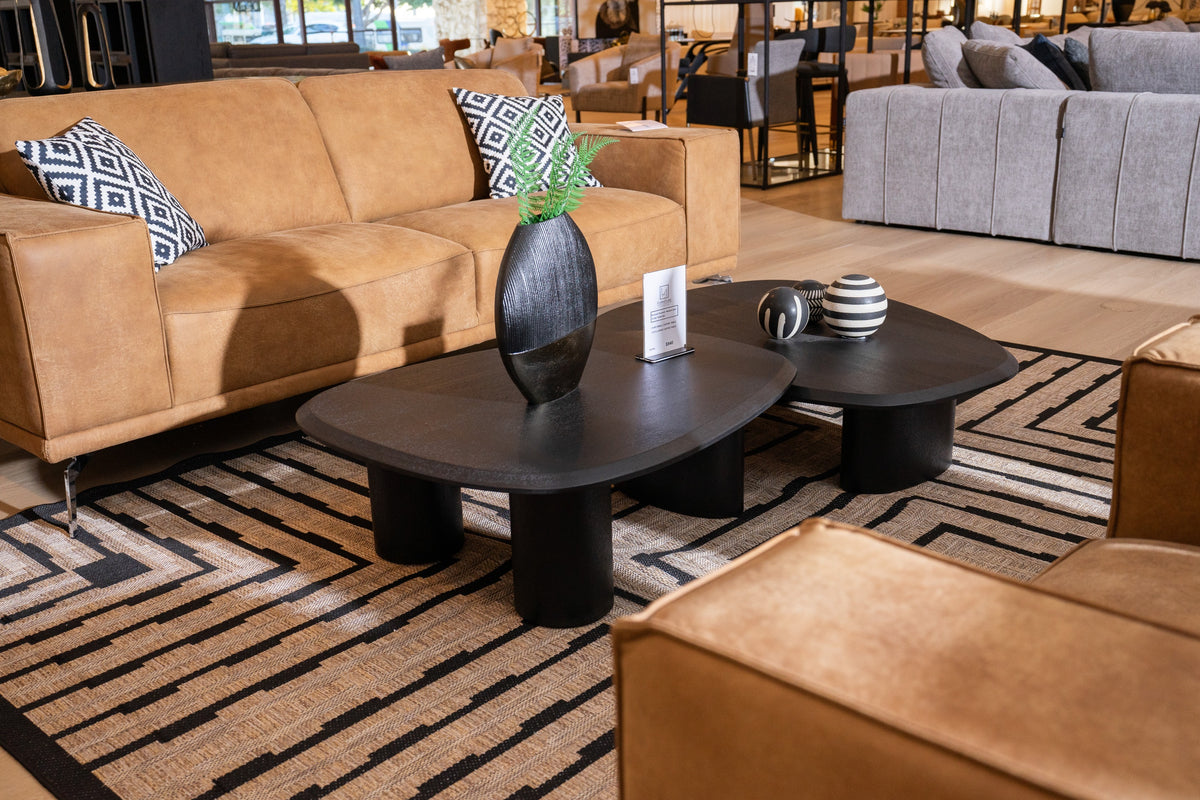Modrest Summit Modern Ash Coffee Table Set