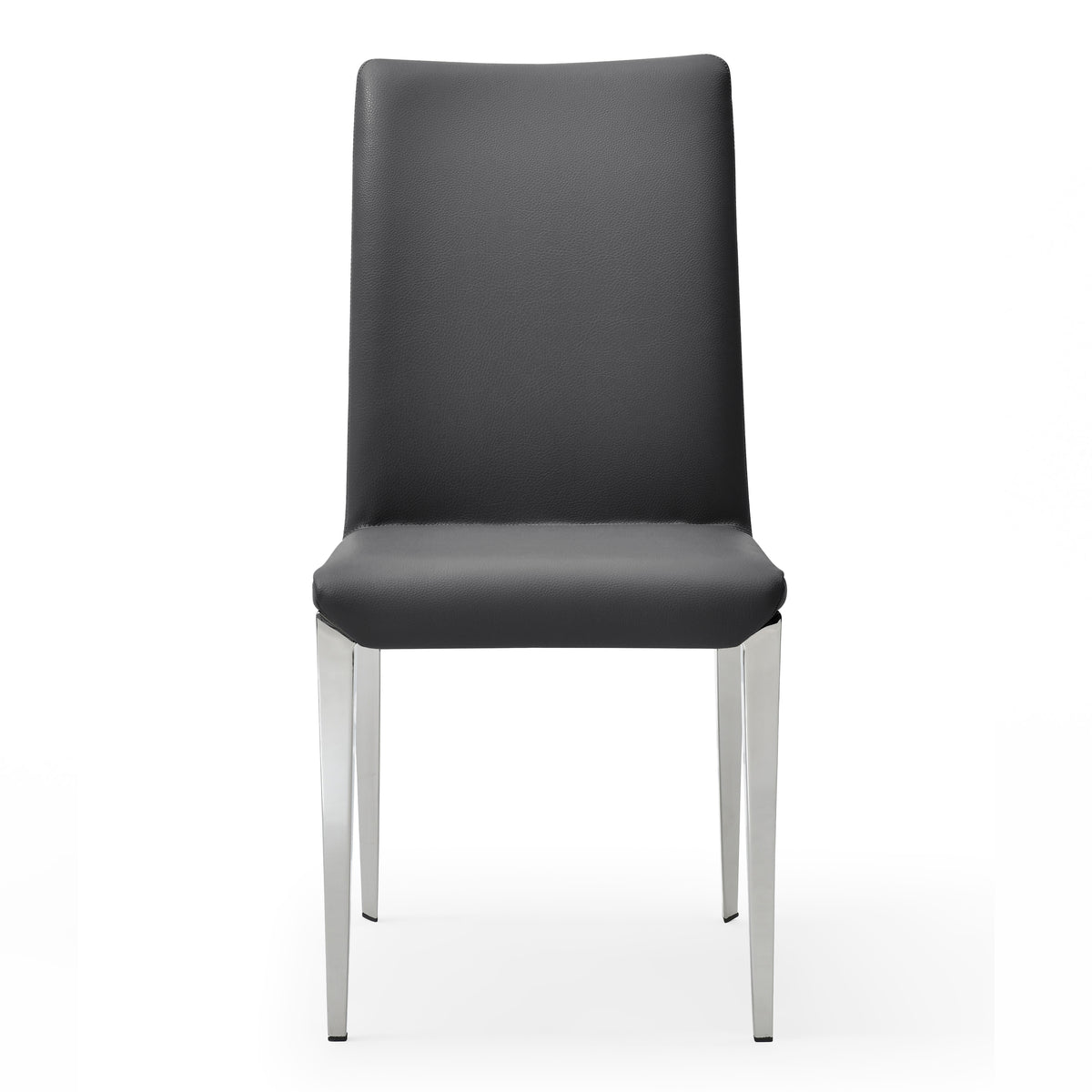 Taryn Modern Dark Grey Dining Chair (Set of 2)