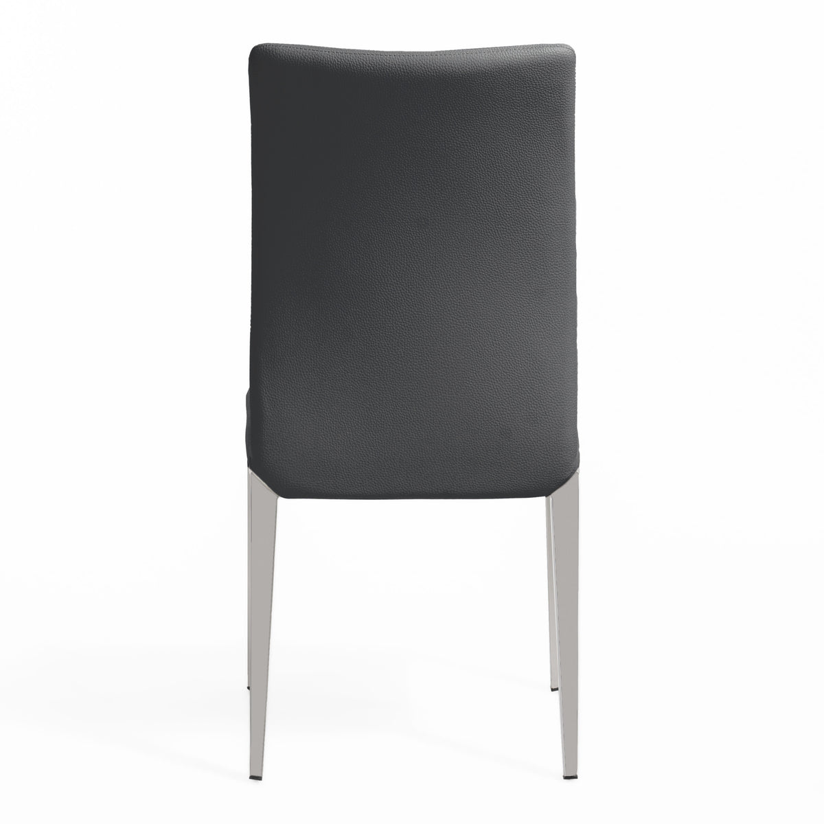 Taryn Modern Dark Grey Dining Chair (Set of 2)