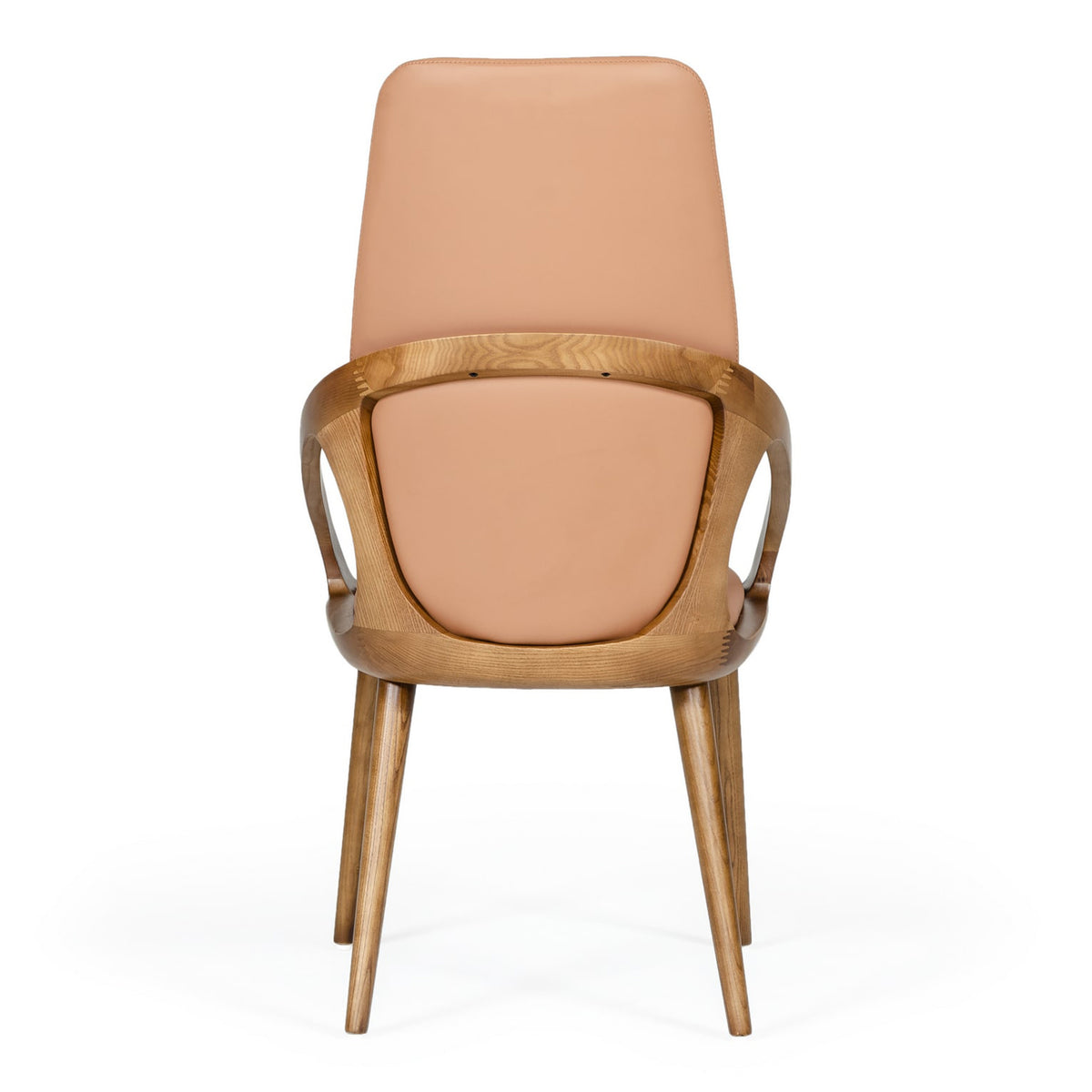 Valier Modern Dining Chair (Set of 2)