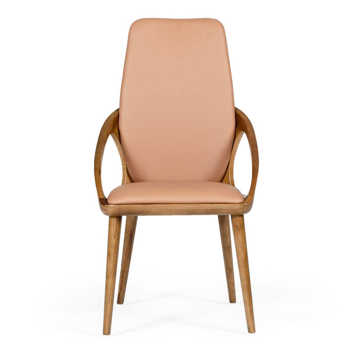 Valier Modern Dining Chair (Set of 2)