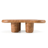 Weskan Modern Faux Burl Coffee Table