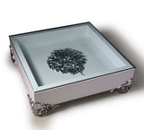 LS538 Emma Modern White Coffee Table with Glass Top