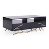 Legend Modern Black & Gold Coffee Table