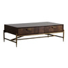 Shane Modern Acacia & Brass Coffee Table