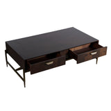 Shane Modern Acacia & Brass Coffee Table